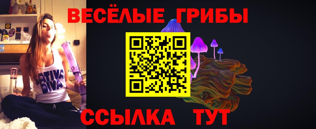 Псилоцибиновые грибы Psilocybe  Вход с VPN  Первоуральск 